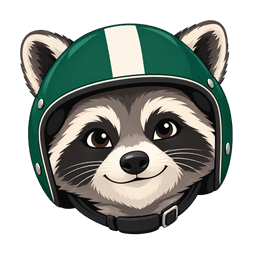 Rukky, your helmet-wearing raccoon companion